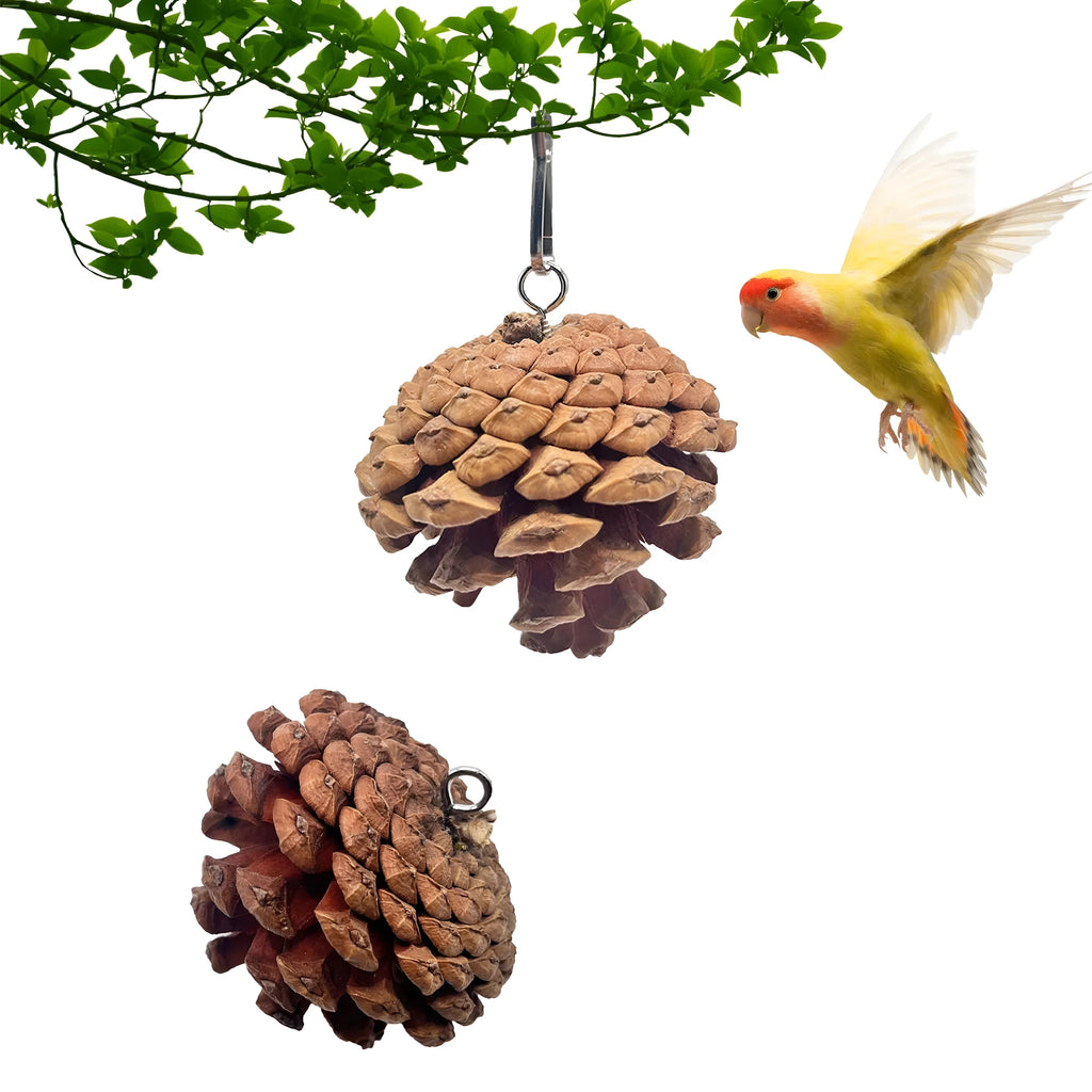 5-6cm pine cone parrot bite toy with metal studs and buckle option for pet birds