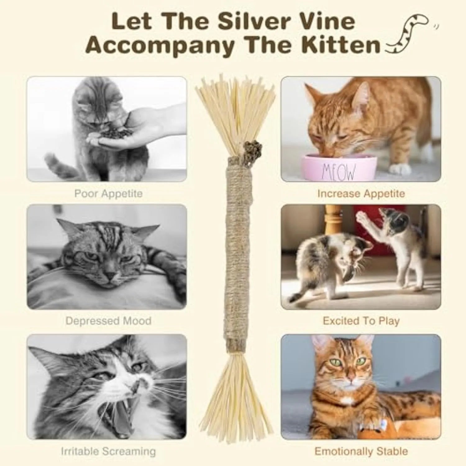 Three natural silvervine cat chew sticks with sisal rope and raffia for dental care and teeth cleaning