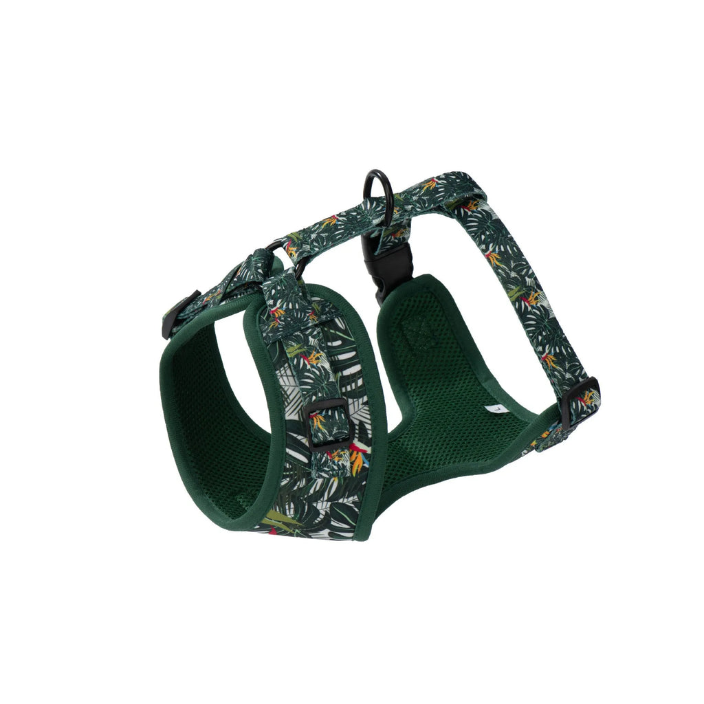 Adjustable cloth dog harness and leash six-piece set with collar, waste bag, bow tie and scarf