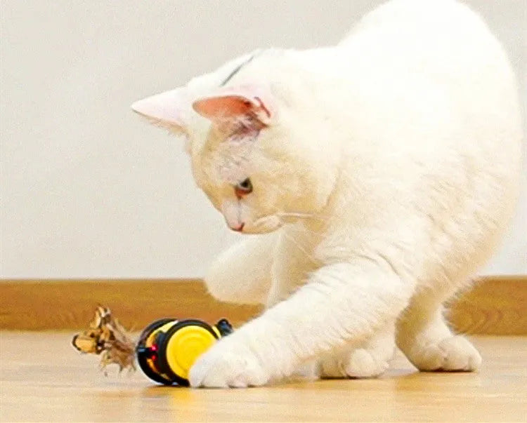 Little bee electric smart cat toy in yellow or pink, plastic, 60x53x38mm, USB powered