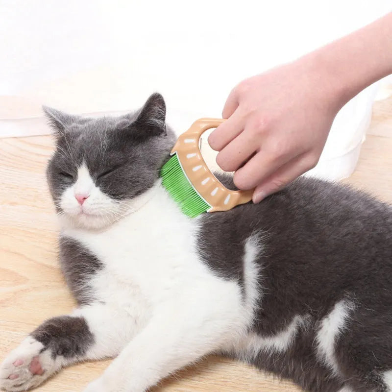 Green shell-shaped plastic pet grooming brush with bent wire bristles and anti-slip handle on a white background.