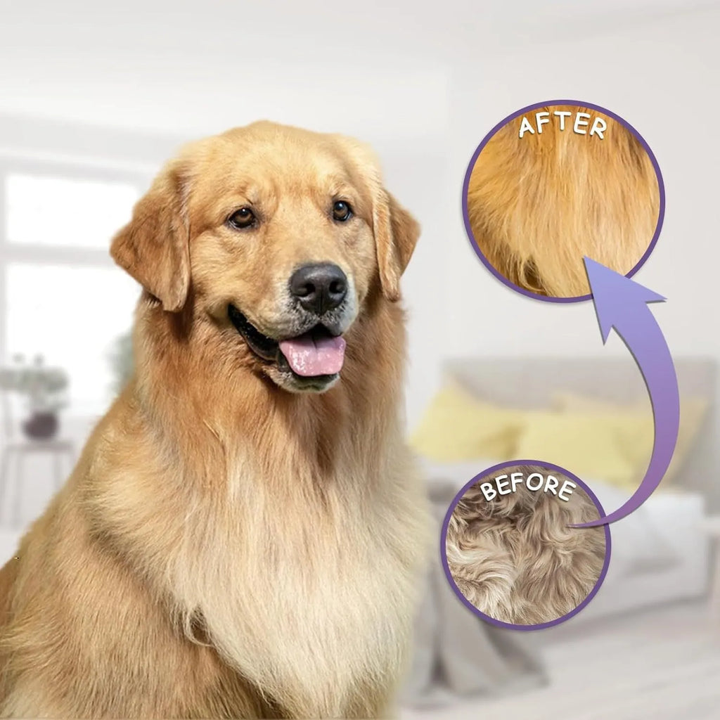 Purple pet detangling comb with stainless steel long and short teeth for dogs and cats