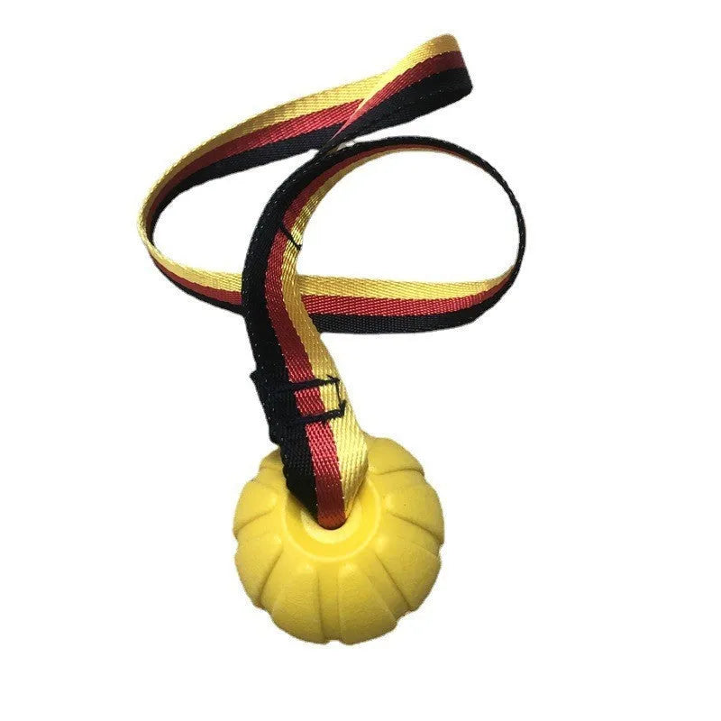 Yellow and camouflage coloured EVA floating dog ball with string in three different sizes on blue background