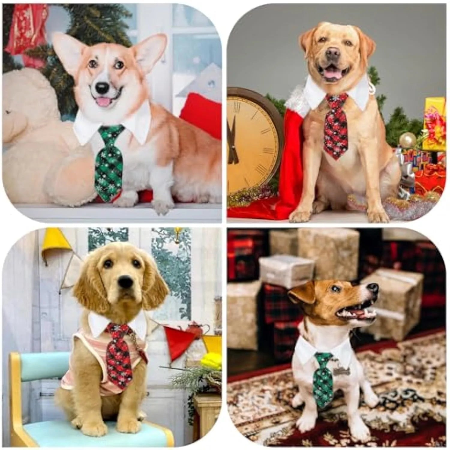 Christmas dog necktie with red plaid snowflake pattern on a small dog for festive wear