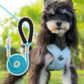 Blue dog vest with an integrated hand-holding rope leash, shown on a medium-sized dog.