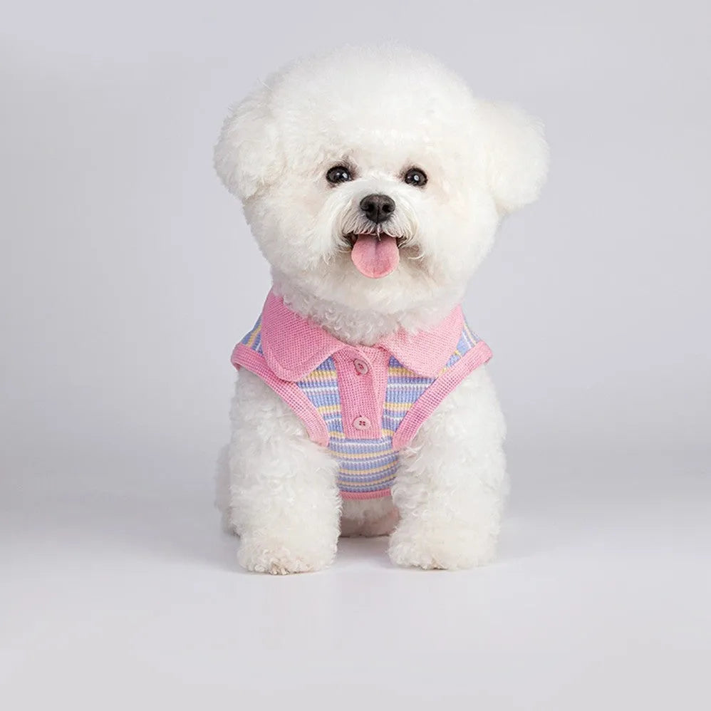 Pink purple dog vest for small breeds with buckle fastening, shown in size range from XXS to XXL.