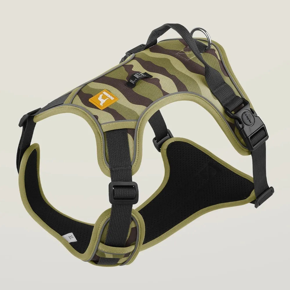 Orange reflective dog harness and hand-hold lead on a grassy background.