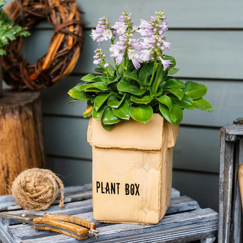 Cement brown paper box design flower pot with bottom drainage holes on a table.