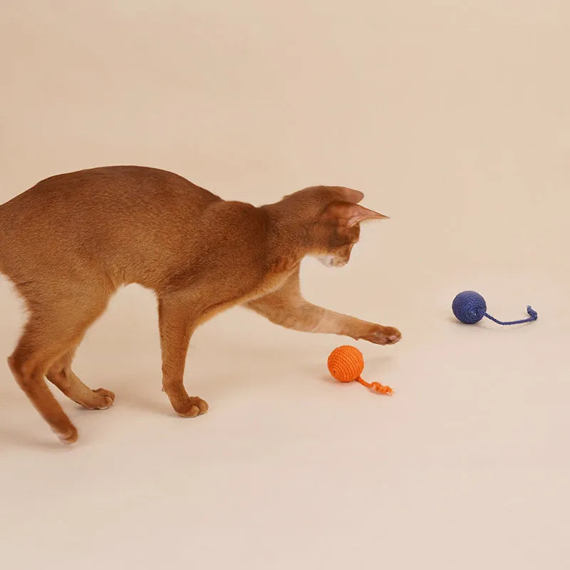 Cat toy set showing bite-resistant teaser wand and catnip ball in multiple colour variations