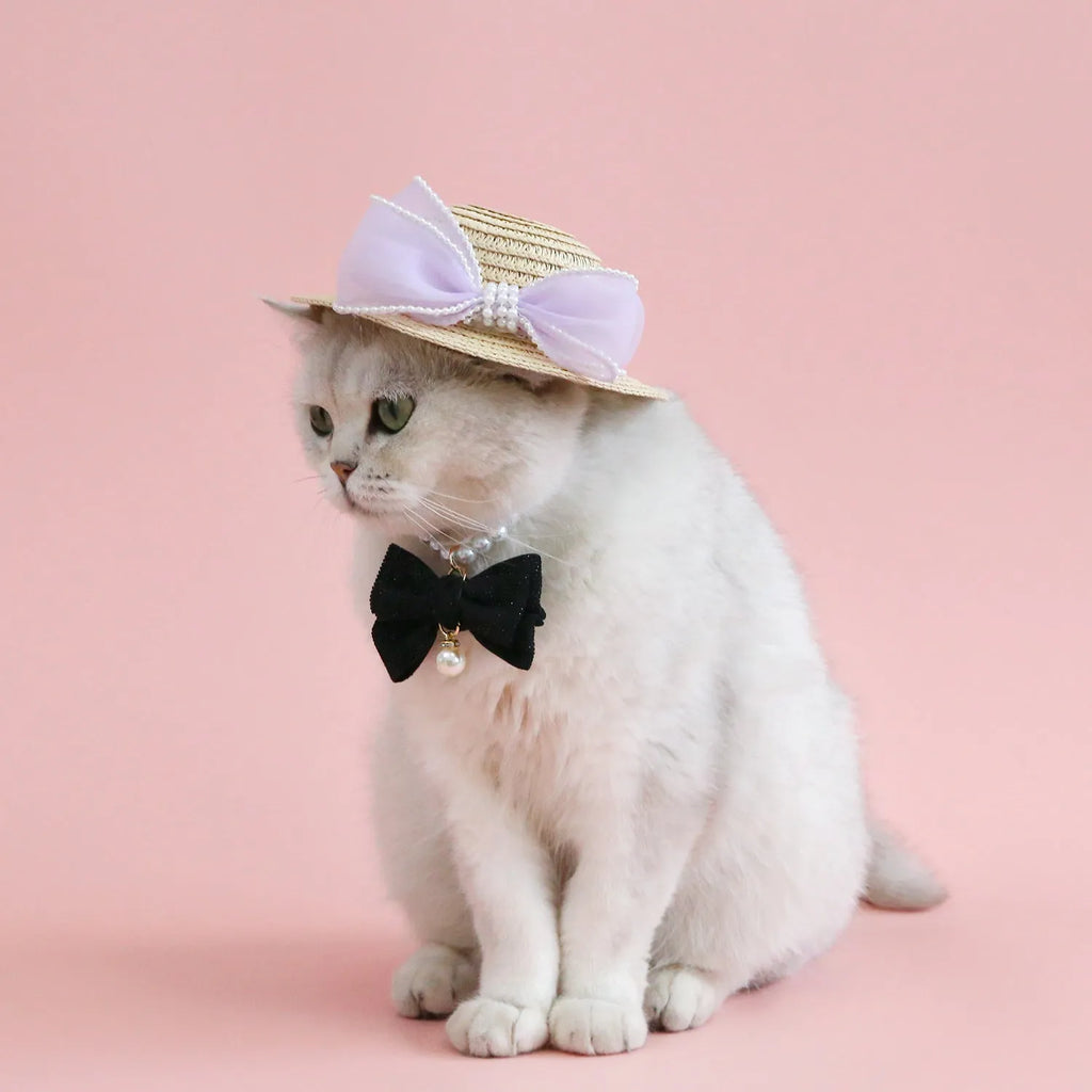 Cat wearing woven straw hat with pearl bow decoration in princess style