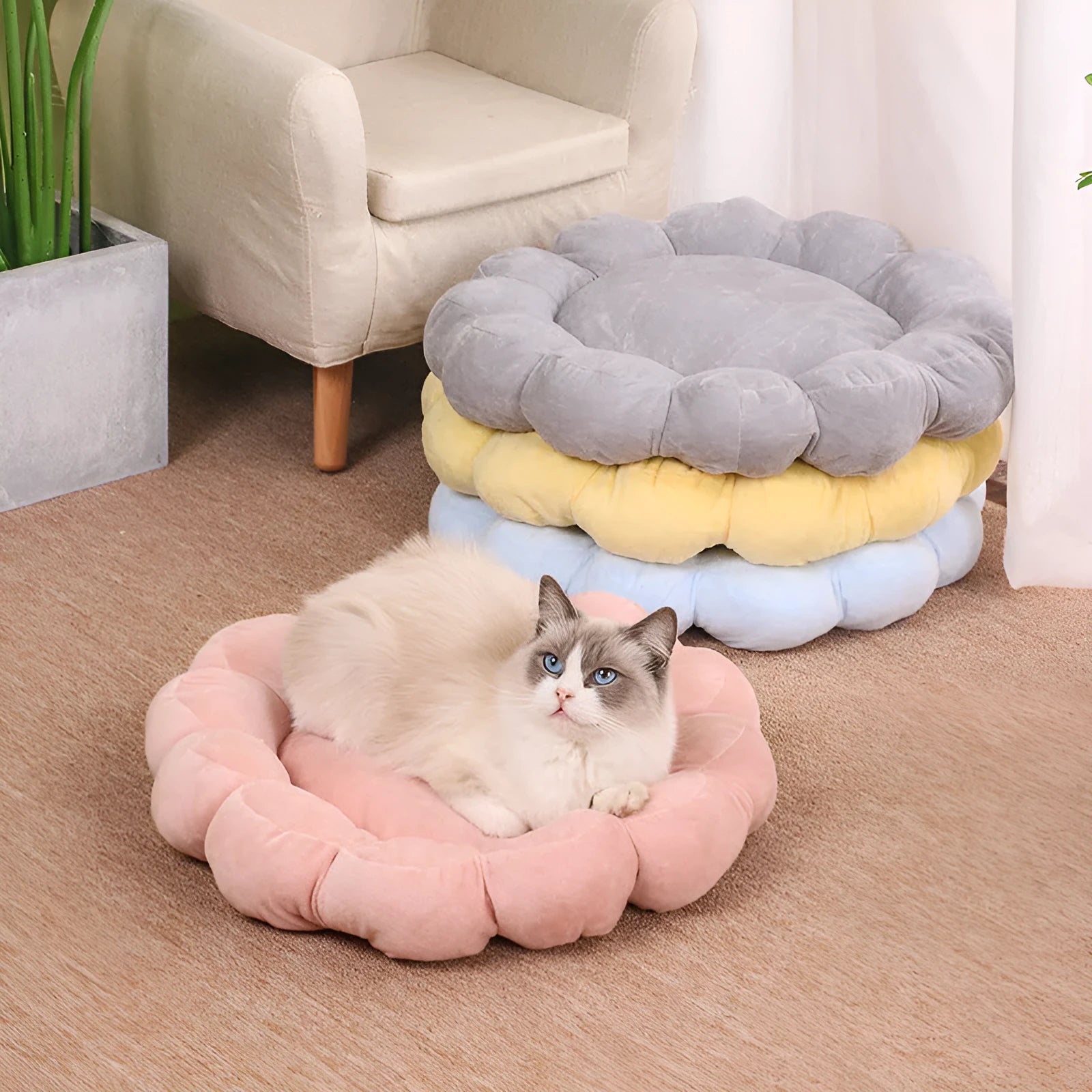 50x50 cm half-surrounded pet bed in blue with plush fabric for dogs and cats