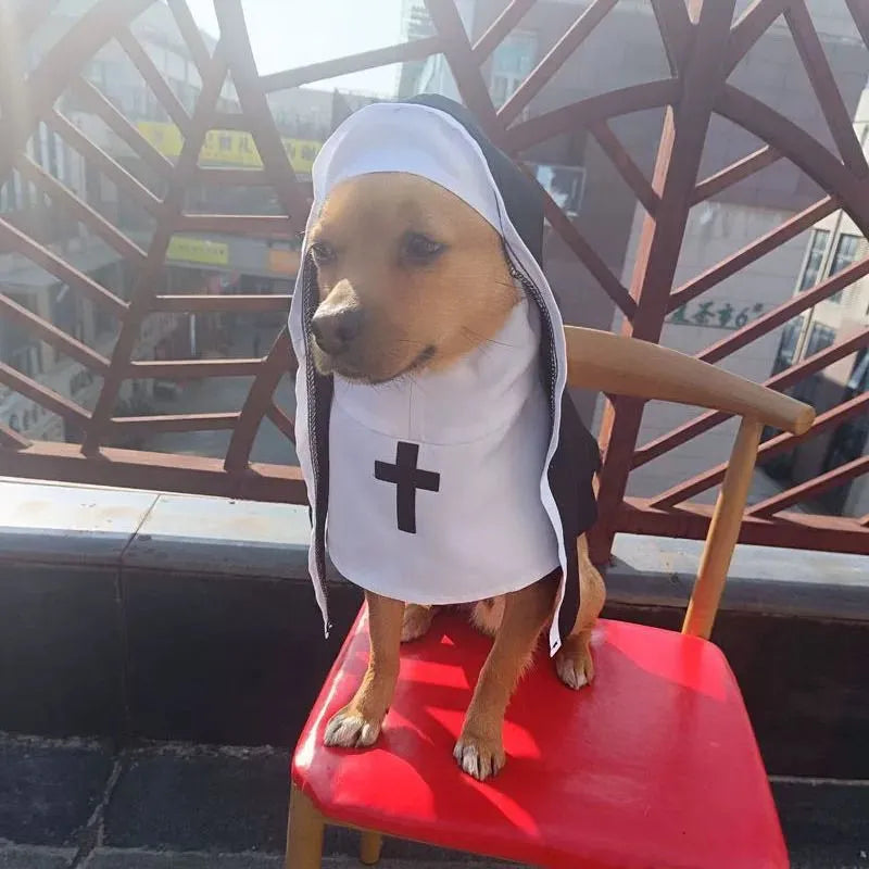 Black and white nun costume for small to medium dogs with polyester cloak
