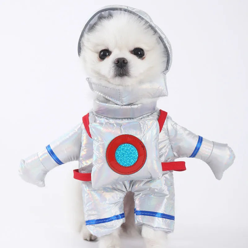 Halloween dog costume selection showing bat suit, devil outfit, and space clothing styles for pets