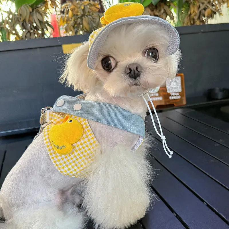 Pet summer outfit set with cat clothes, hat, and wire rope dog harness leash in bright colours