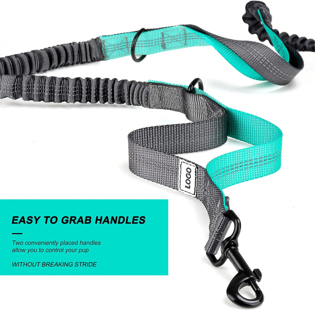 Black nylon pet training set showing waist bag with attached leash and matching dog collar