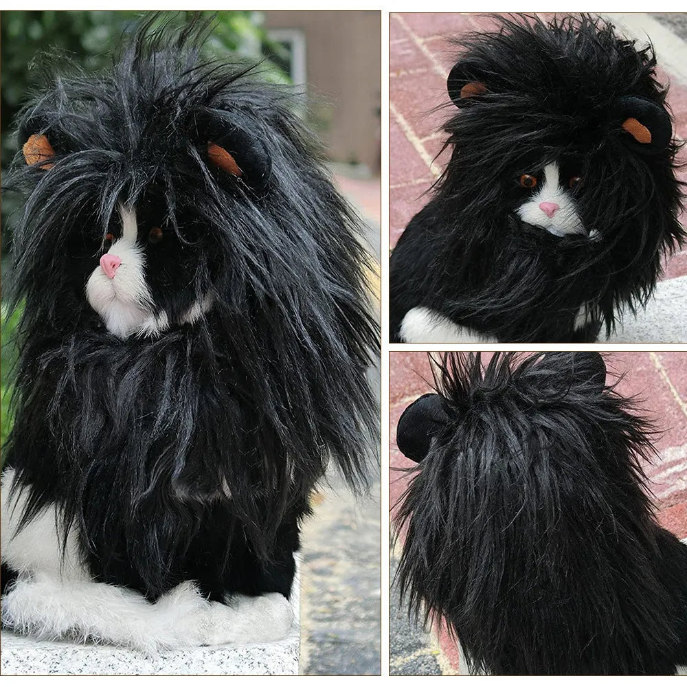 Black lion headgear wig on cat with three size options available