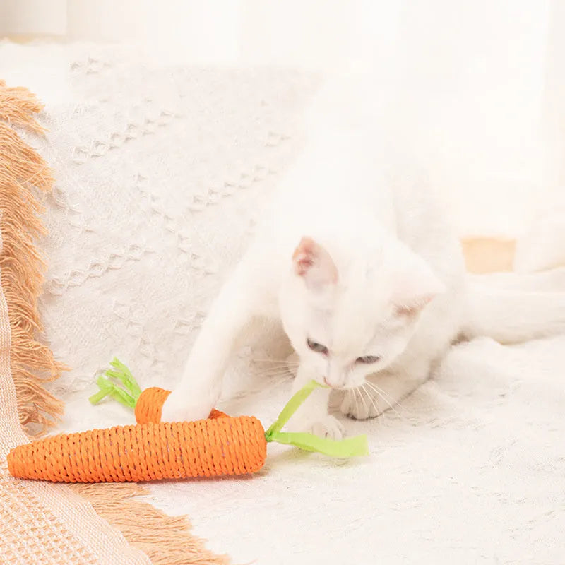 Cat toy set with carrot-shaped paper bites, ringing stones, and grinding sticks on soft surface