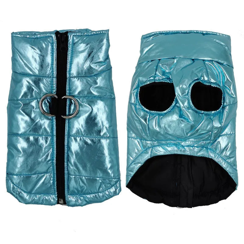 Bright blue cotton waterproof dog vest with snap fasteners, front view, for medium-sized dogs