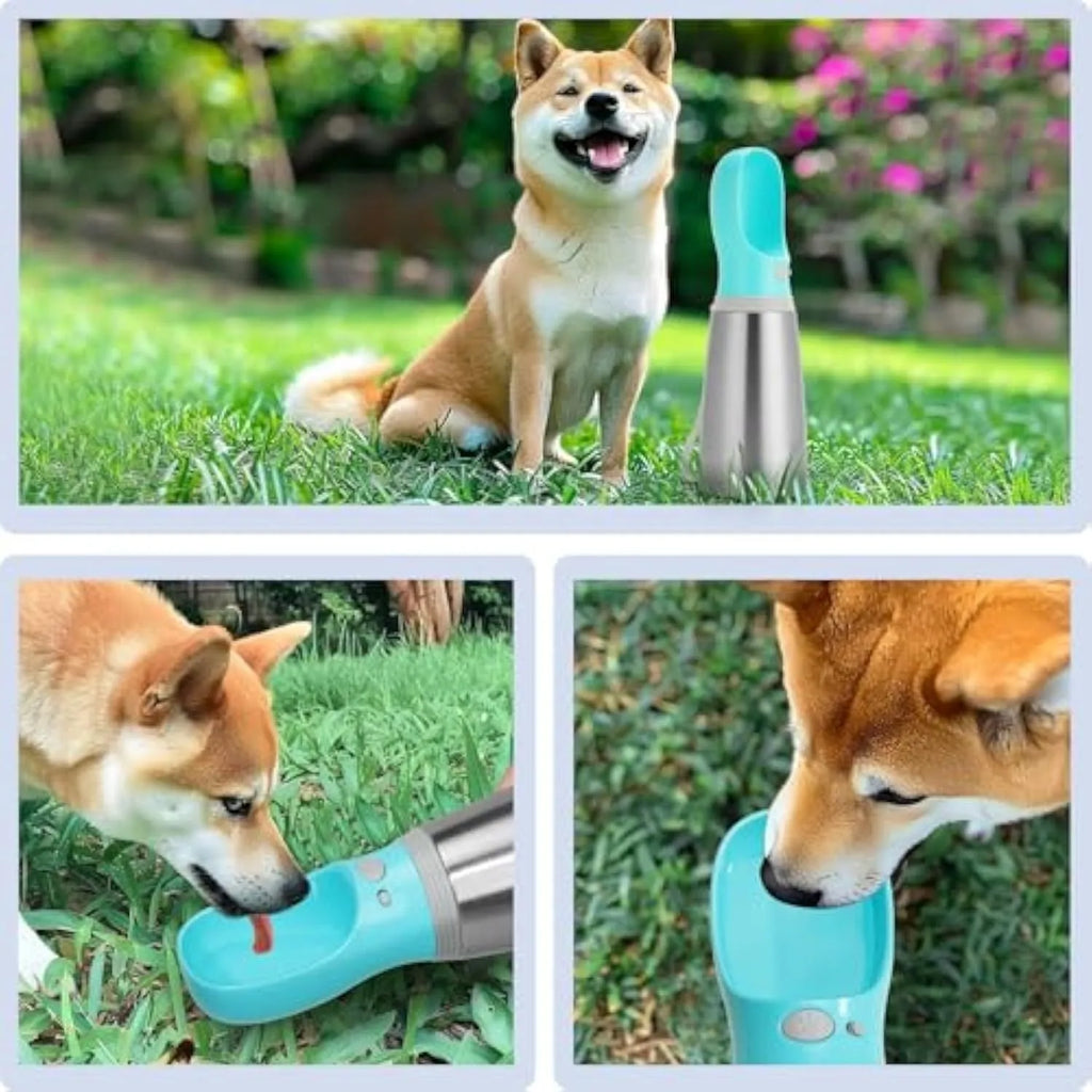Blue stainless steel portable dog water bottle with drinking feeder showing 700ml capacity