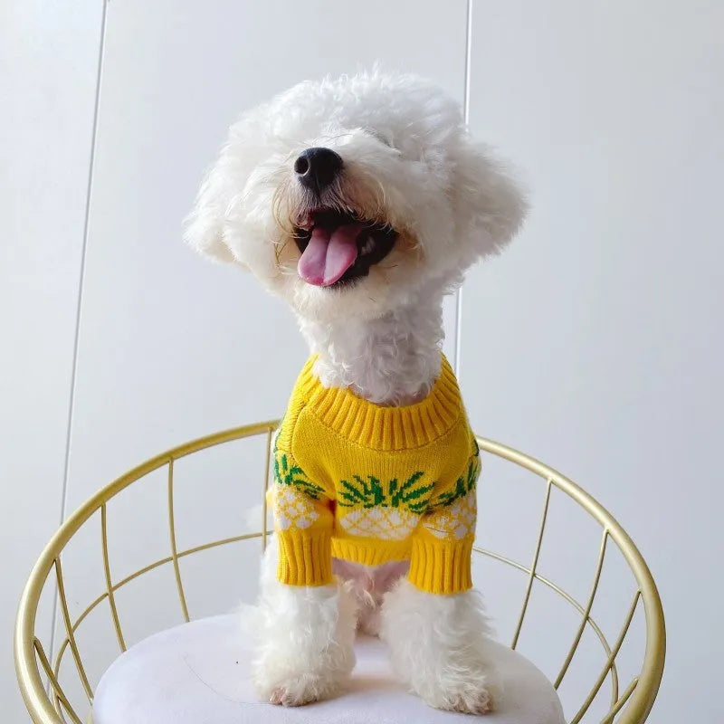 Yellow pineapple print wool pet jumper for dogs and cats, sizes S to XXL, autumn winter Christmas pet clothes