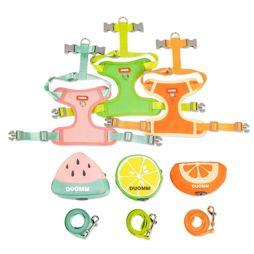 Fruit-themed pet backpack and matching chest strap set for dogs and cats in green colour