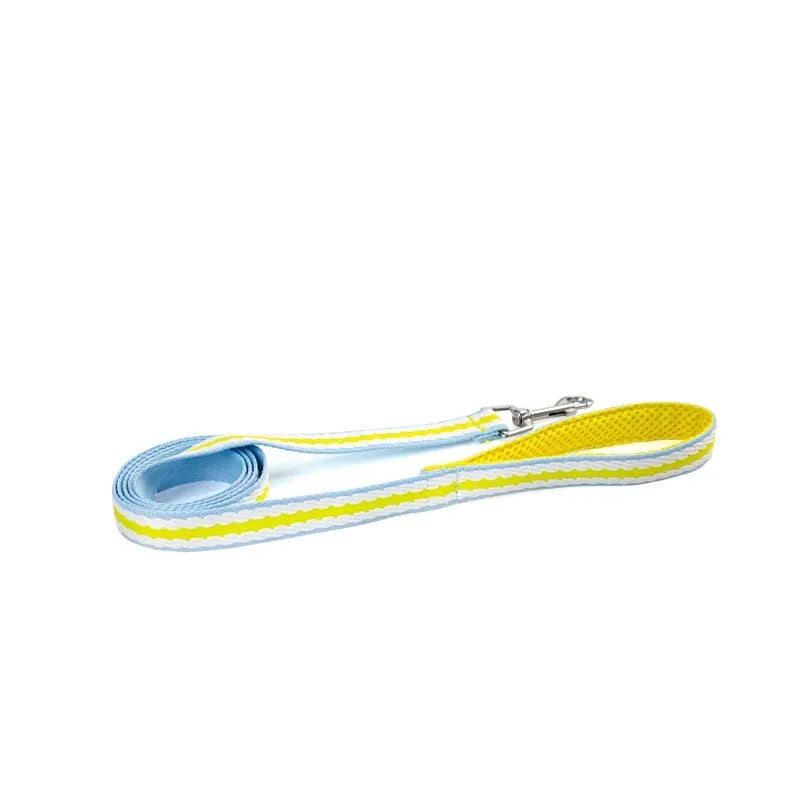 Lightweight dog harness and 1.4-metre walking rope set in various colours on a size chart