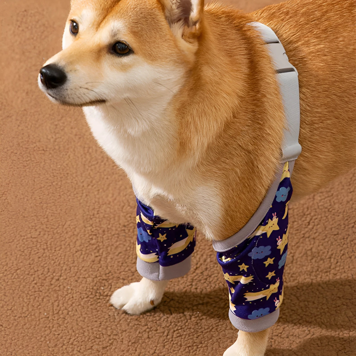 Pet knee pads in blue, gray, and yellow, polyester joint protective cover for dogs and cats, sizes L to 3XL
