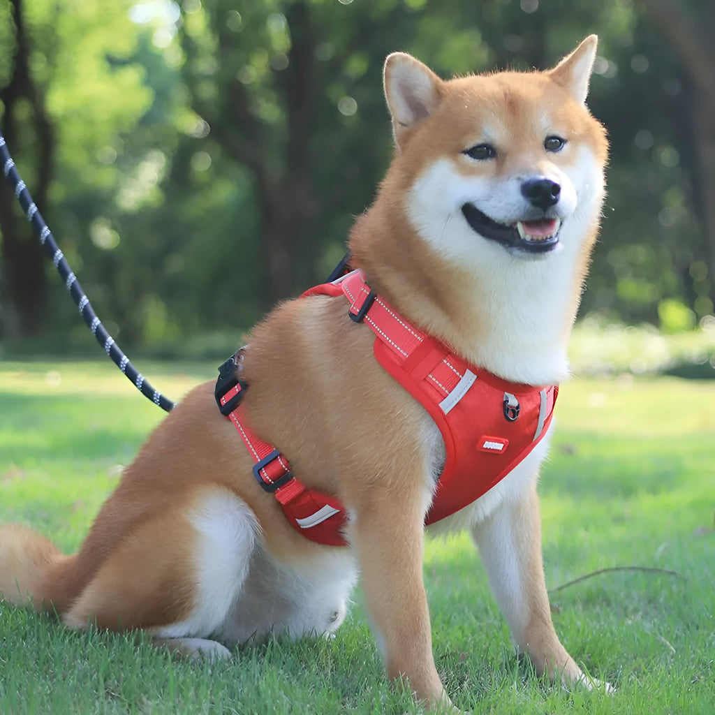 Orange adjustable nylon dog harness vest with reflective strips and breathable mesh panelling.