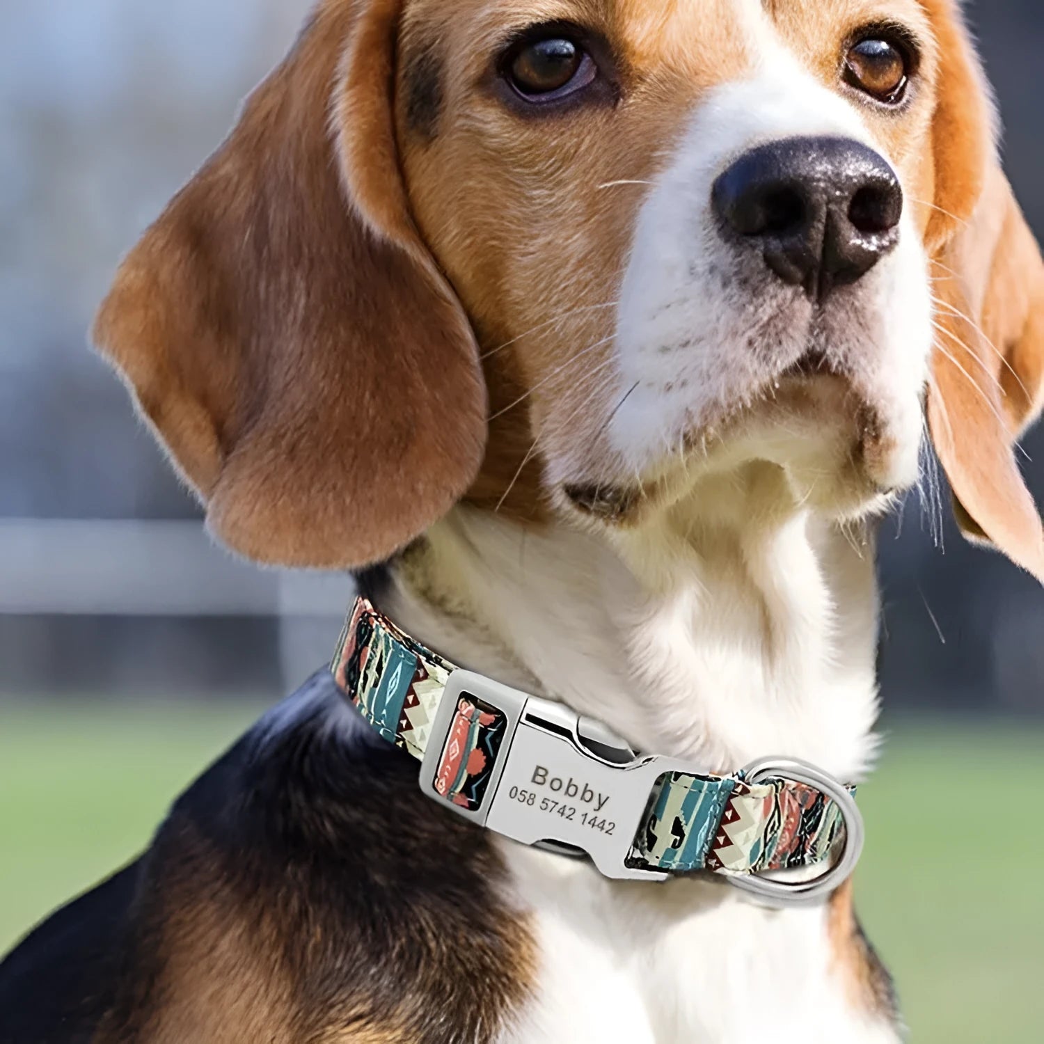 Striped canvas dog collar with metal release buckle in bohemian blue colour option