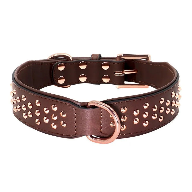 Brown leather dog collar with silver metal rivets on a black background.