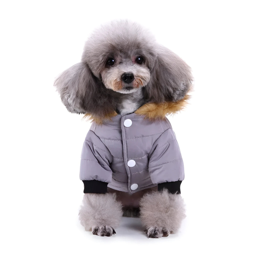 Polyester pet winter clothing in green, grey or red, sizes S M L XL for dogs and cats