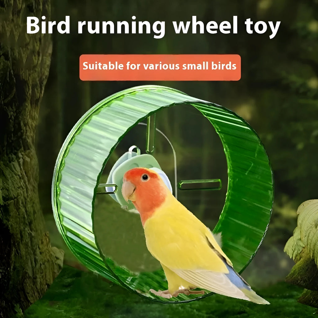 A plastic parrot exercise running wheel toy in a transparent colour, shown alongside other colour options.
