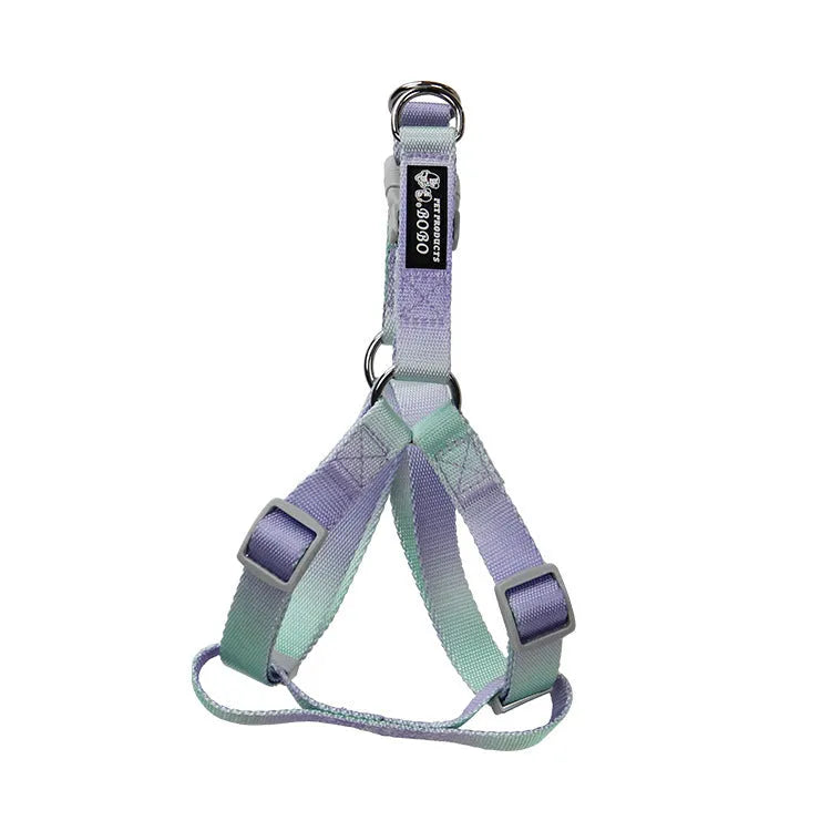 Nylon dog leash set showing gradient colour options including pink blue yellow purple green patterns