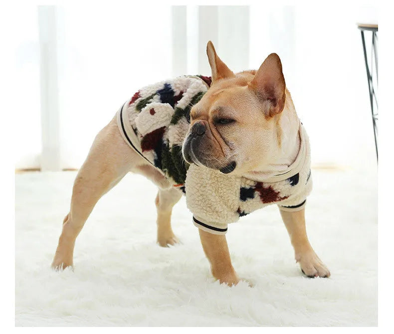 Dog hooded coat in camouflage colour, two-legged jacket style on a dog, with hood up, outdoor setting