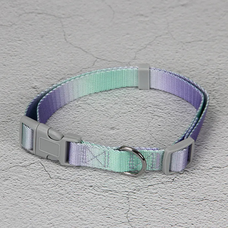 Gradient colour dog leash set with reflective nylon and adjustable chest strap in pink blue pattern