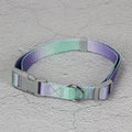 Gradient colour dog leash set with reflective nylon and adjustable chest strap in pink blue pattern