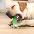 Green TPR dog chew toy with suction cup, small and large molar rods for teeth cleaning