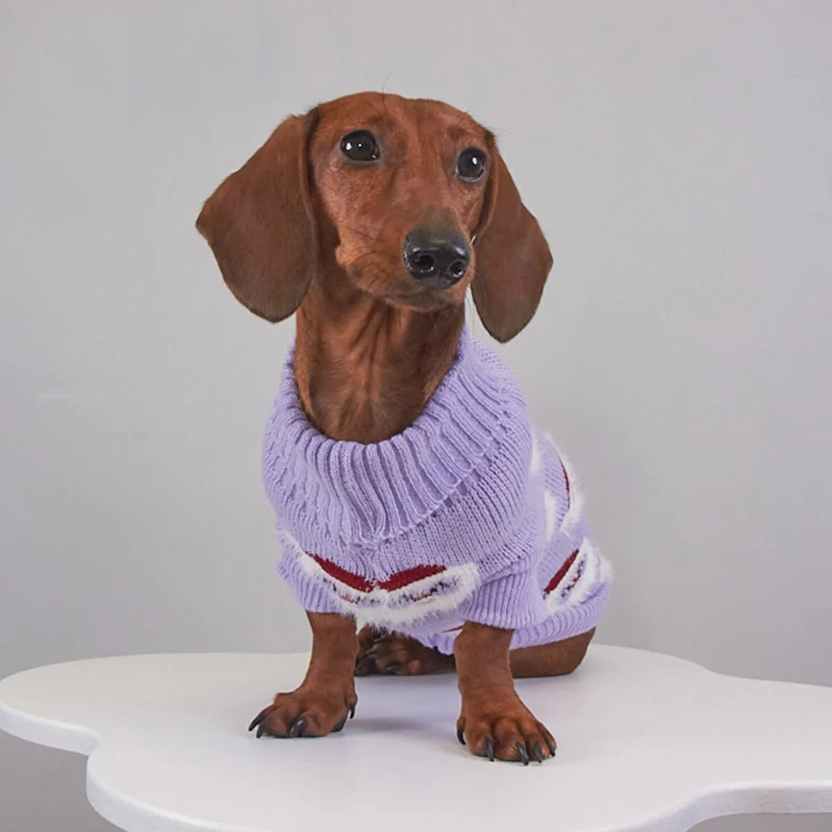 Pet Christmas mink sweater in green on a dog, casual style, soft lining for warmth