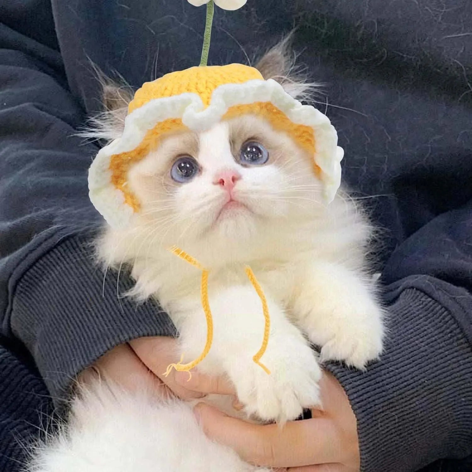 Knitted pet hat with cartoon design for cats and small dogs in green colour