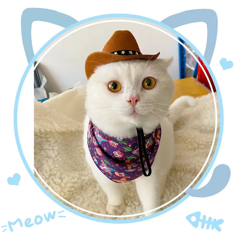 British style cat cowboy hat in brown with various trim options including ribbons and labels