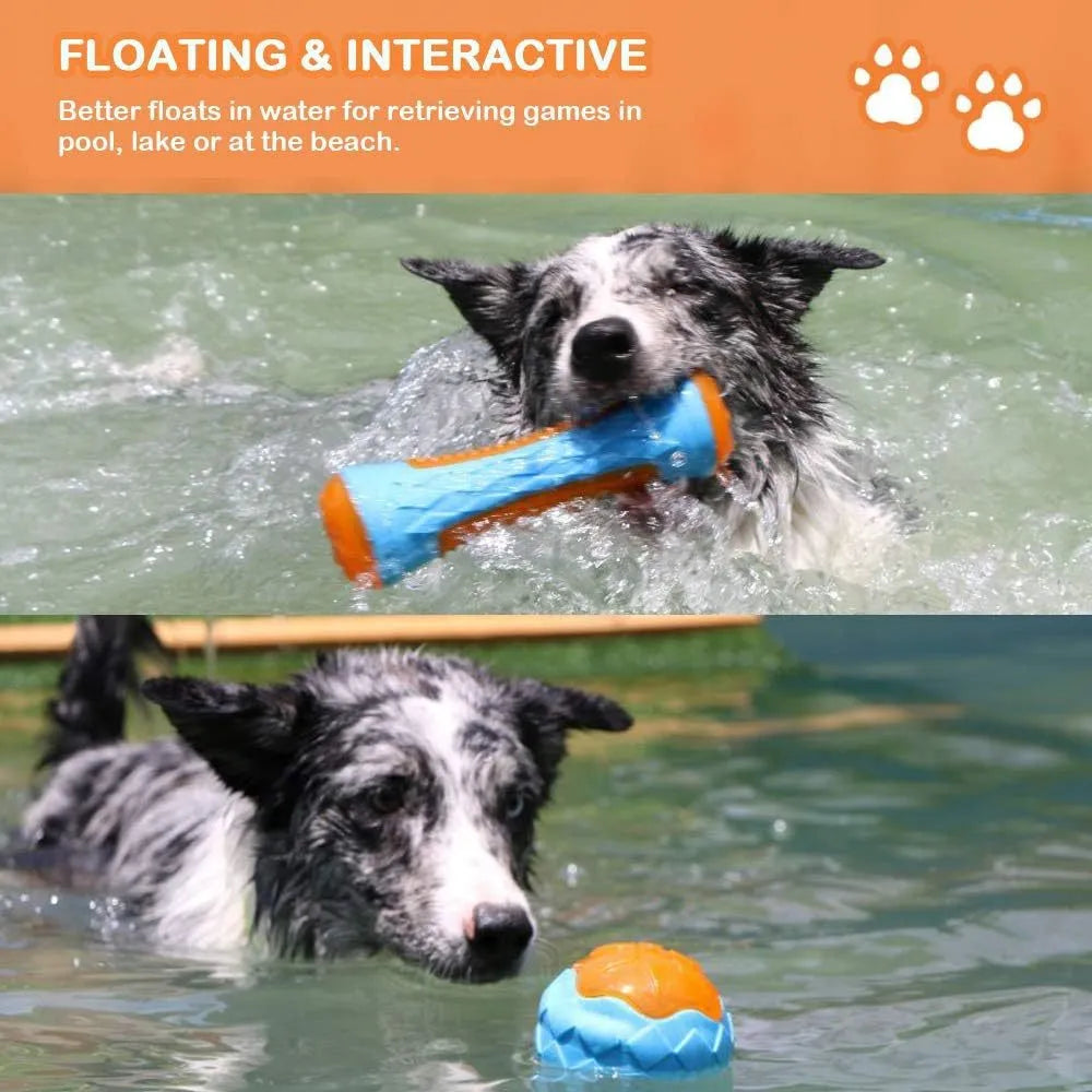 Set of three floating squeaky dog toys: a ball, barbell, and tyre on a blue background.