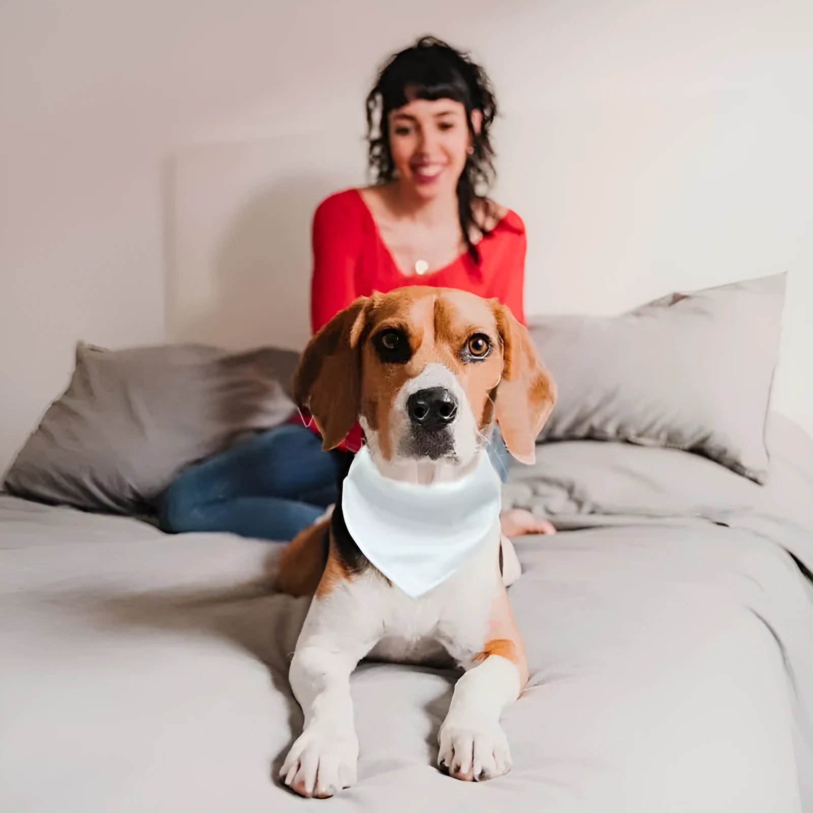 White blank dog scarf for thermal transfer customisation in four different sizes