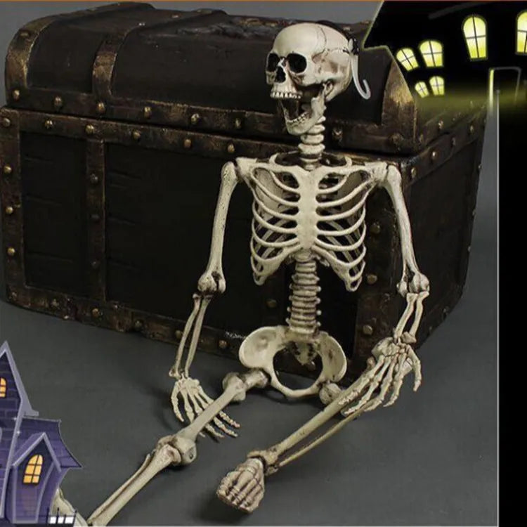 Full 170 cm tall plastic skeleton prop with detailed bones and skull on white background.