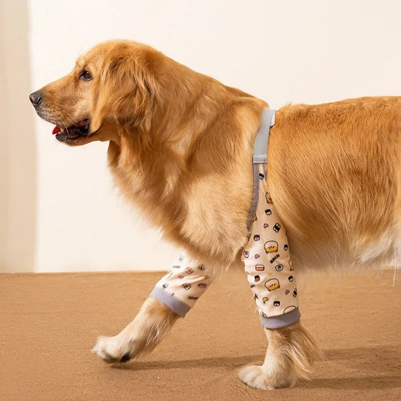 Dog wearing blue knee protector pad with elbow padding and matching scarf with doggie print pattern
