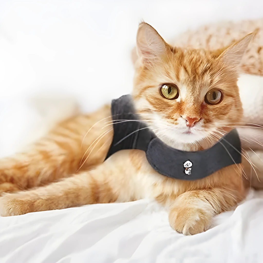 Dark gray polyester pet clothing vest for dogs and cats, summer lightweight design with adjustable fit