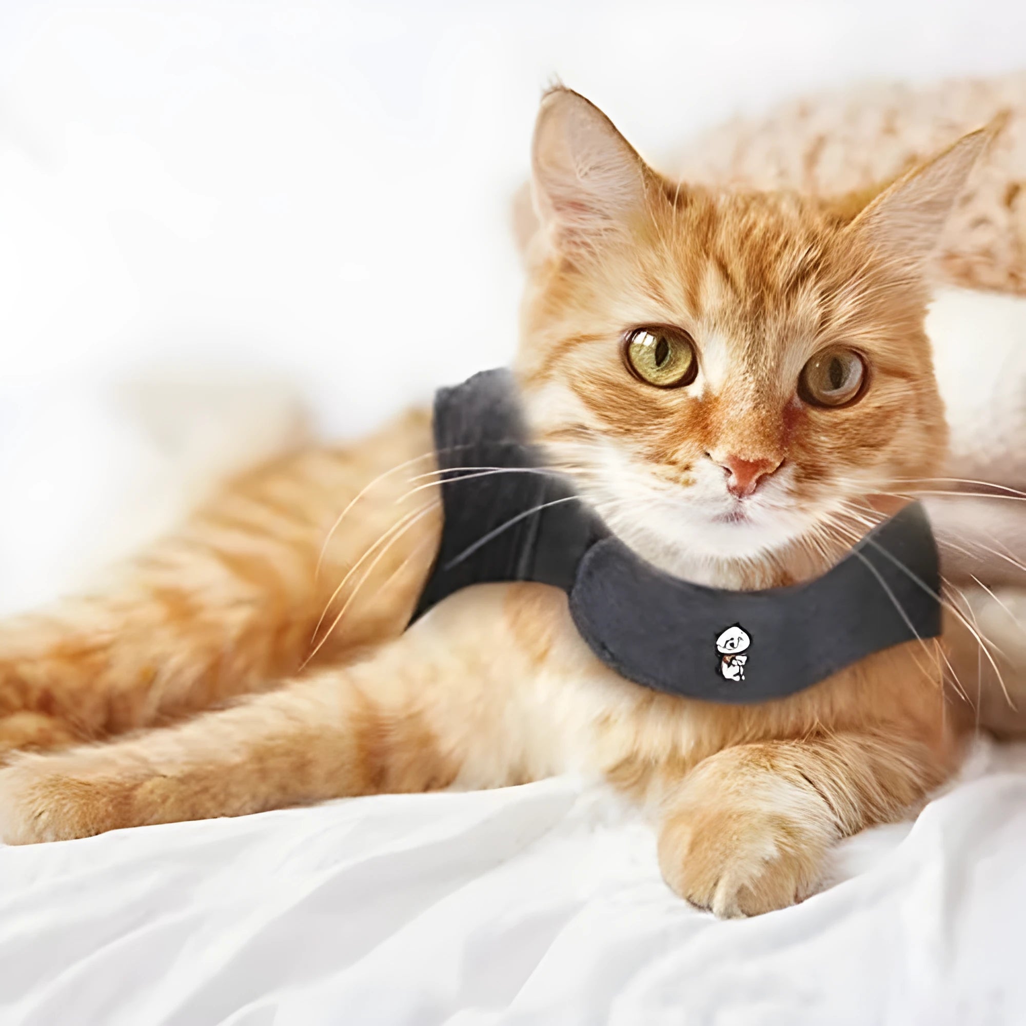 Dark gray polyester pet clothing vest for dogs and cats, summer lightweight design with adjustable fit
