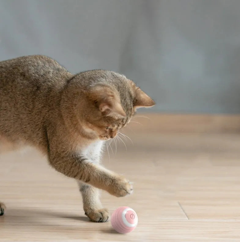 Blue and pink rechargeable automatic moving bouncing ball cat toy on a floor.