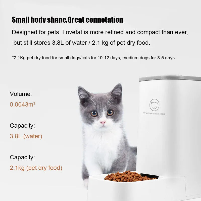 White large-capacity detachable pet automatic feeder and water fountain with 3.8L tank and food bowl