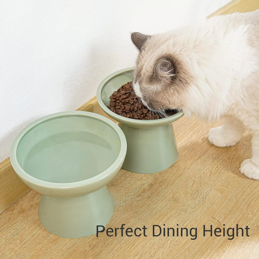 Wide shallow ceramic elevated cat food bowl in blue colour showing dimensions