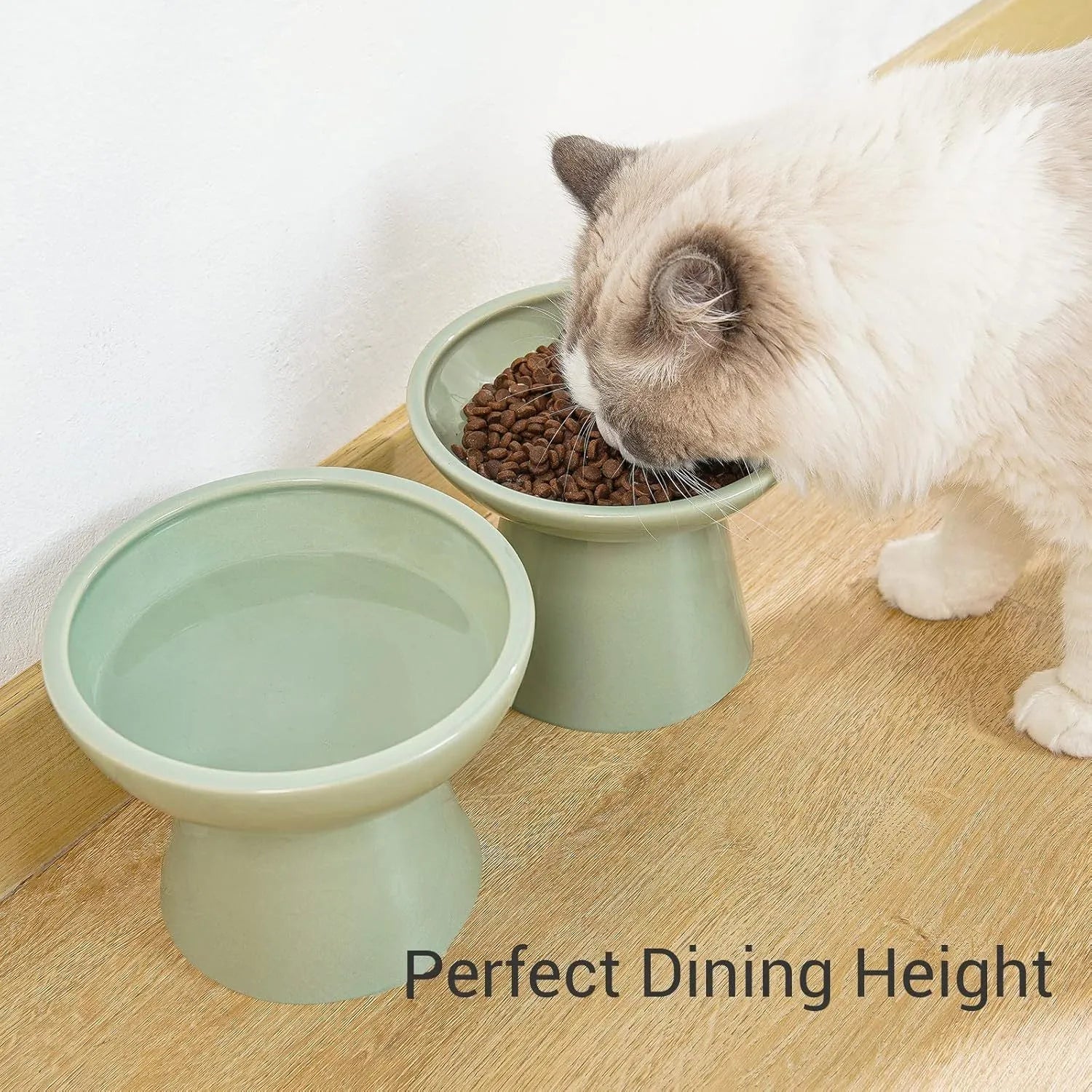 Wide shallow ceramic elevated cat food bowl in blue colour showing dimensions